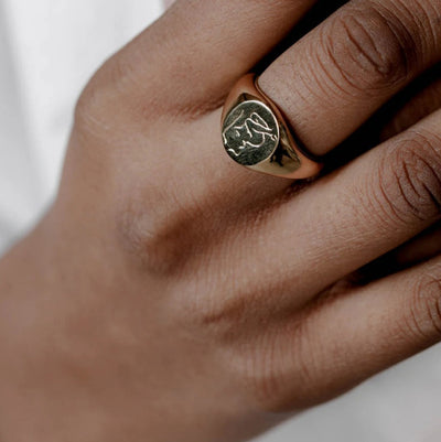 Signet Ring Design Gold Titanium Steel Gold Plated